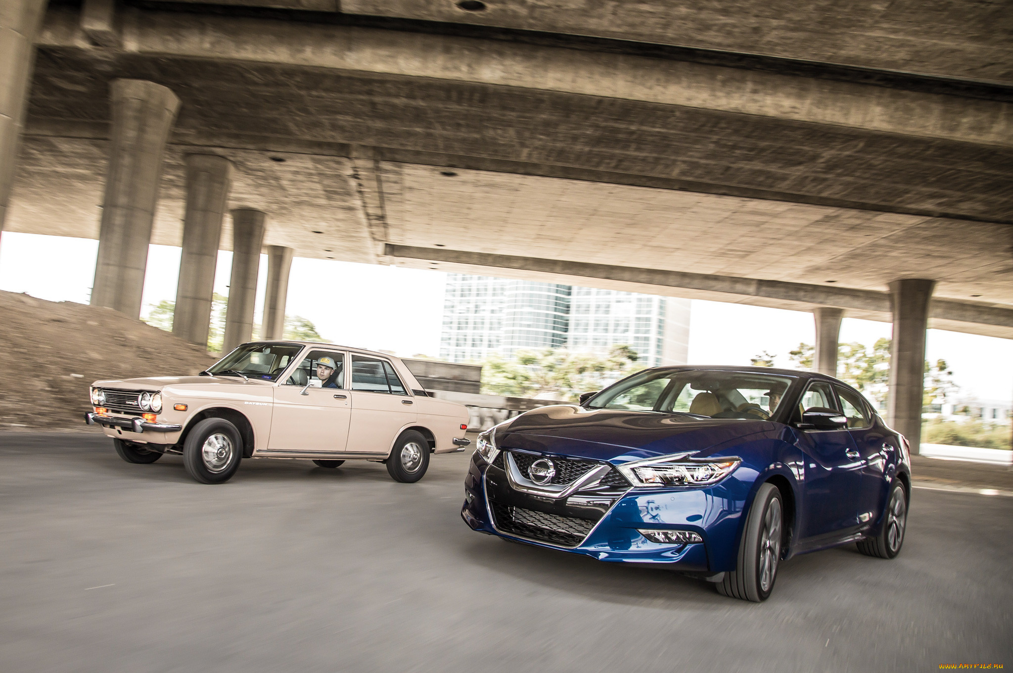 , nissan, datsun
